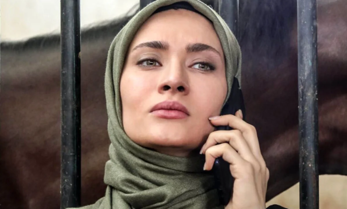 2433775 667 780x470 1