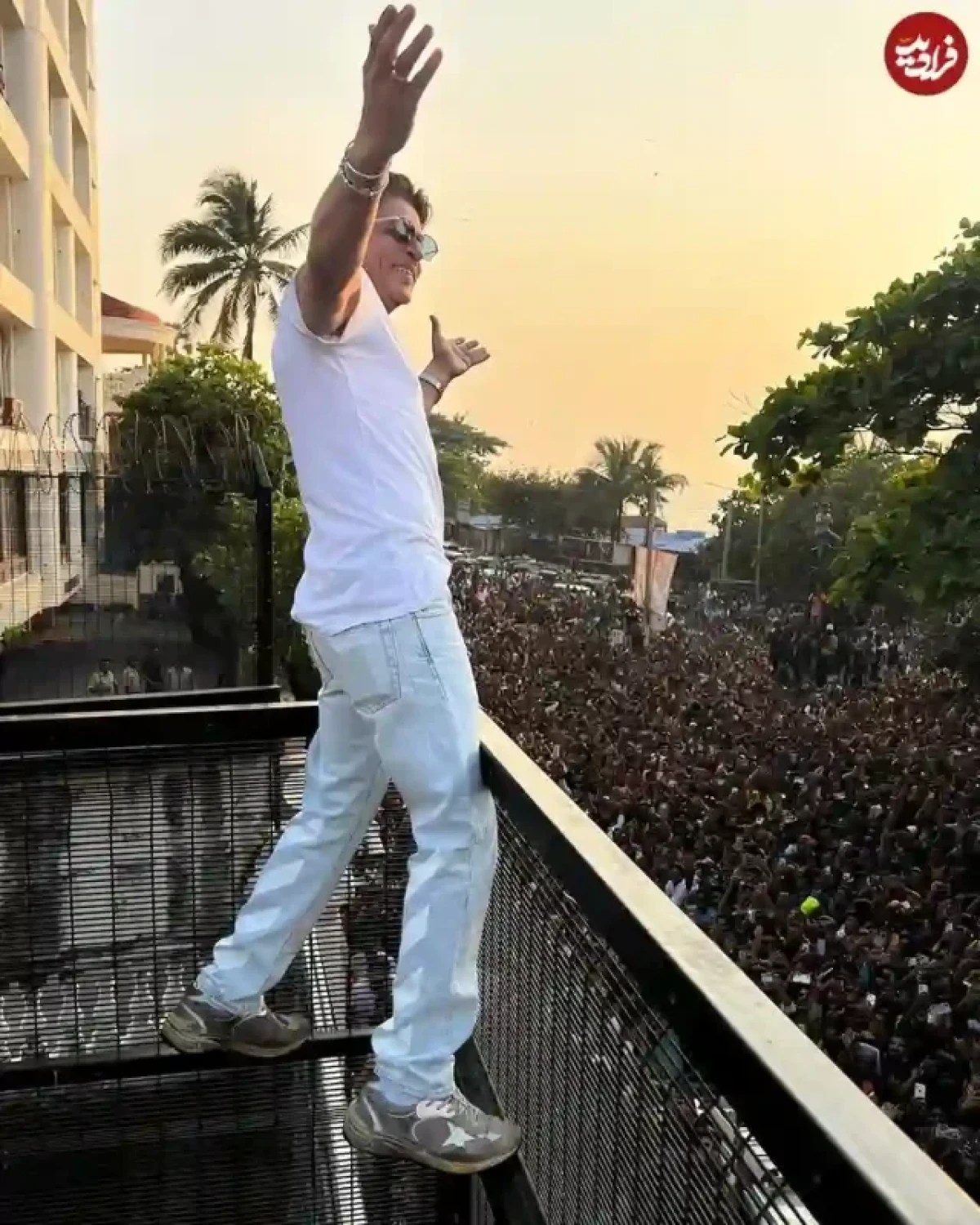 srkking555 1734333991 3524171408608850347 5473946799