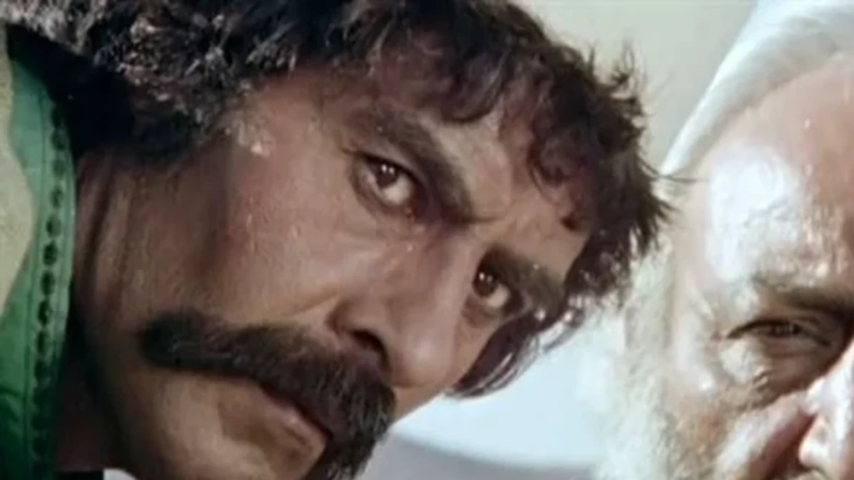 خسرو شکیبایی 24