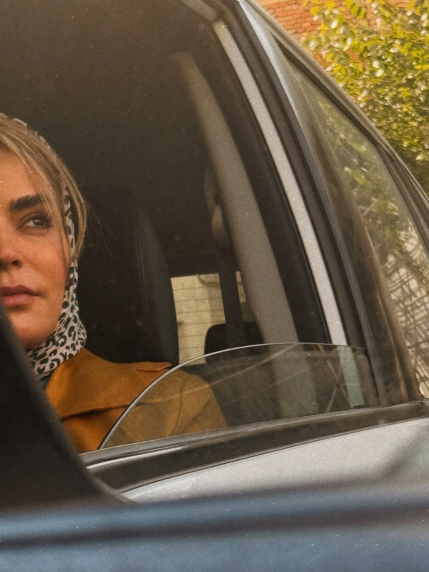 photo 2025 11 02 20 18 26