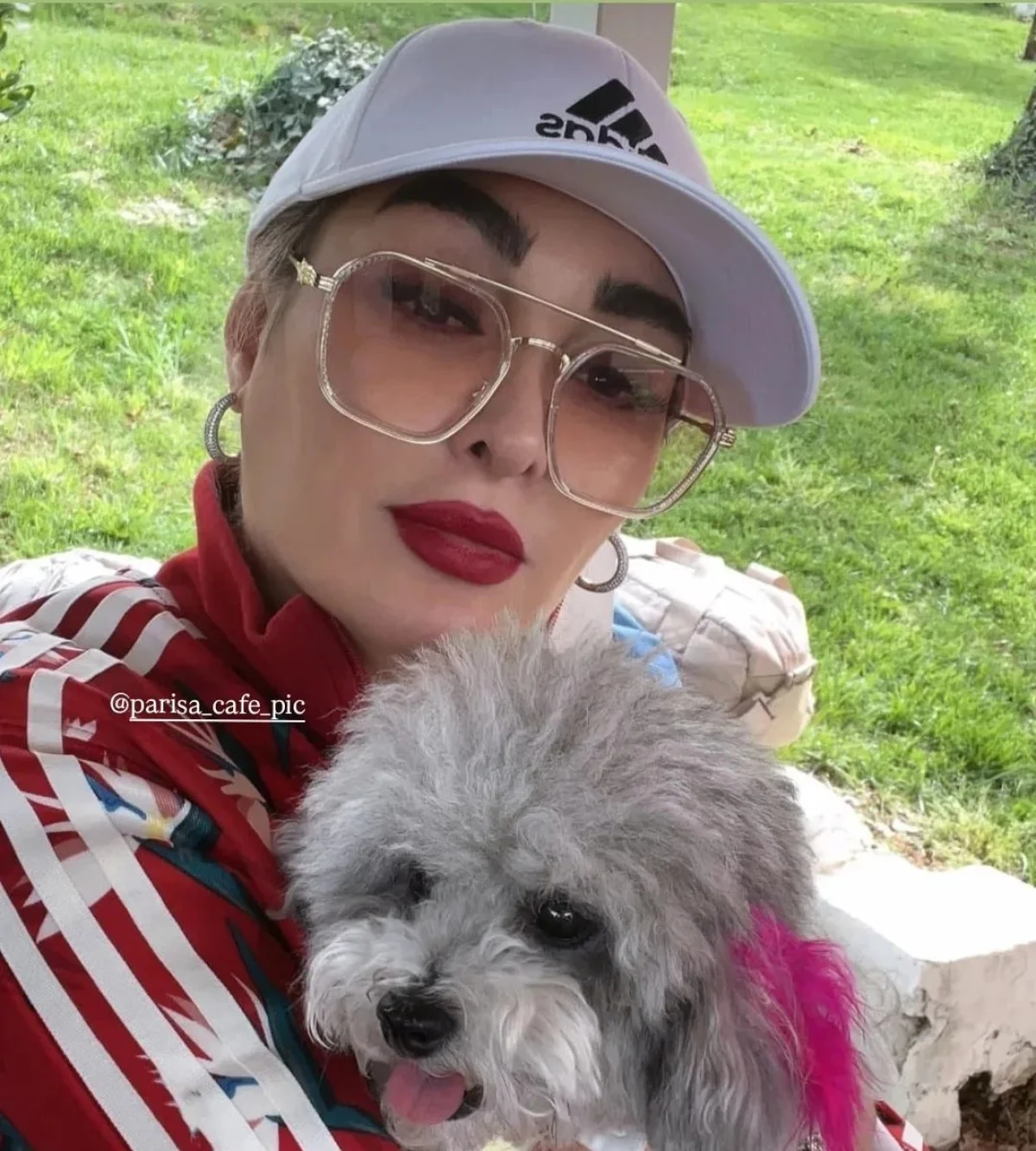 عکس روز | تصویری از الهام حمیدی و حیوان خانگیاش در پارک 2 photo 2025 11 05 12 16 15