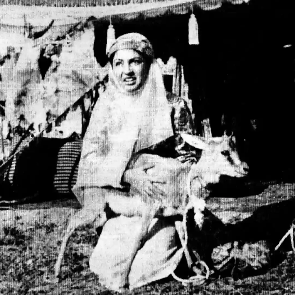 photogoogoosh 1719817190 3402395651201949295 47171307983 11zon 1