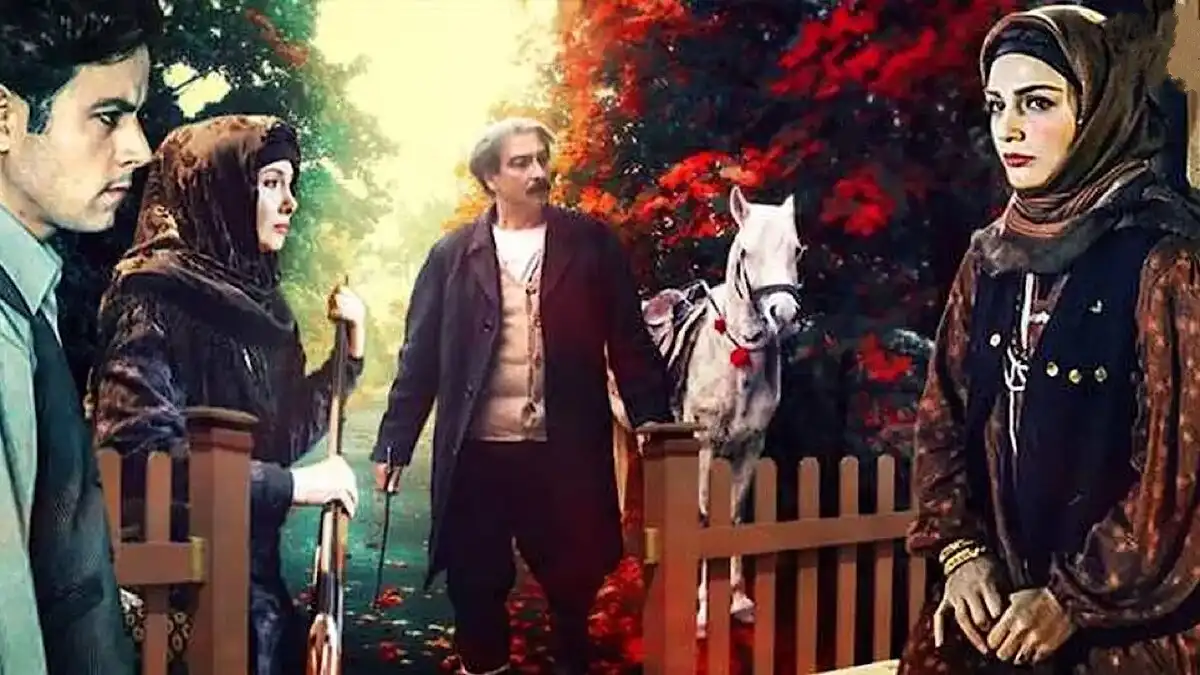 پس از باران 4