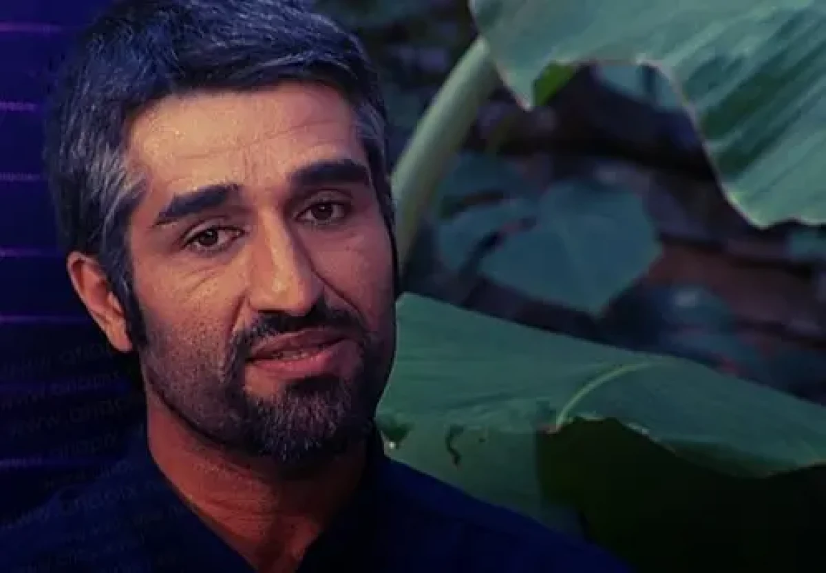 پژمان جمشیدی 3 1 1